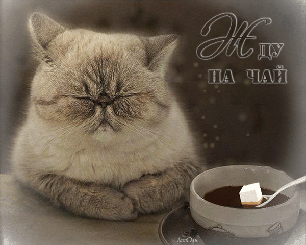 Анимированная открытка Жду на чай