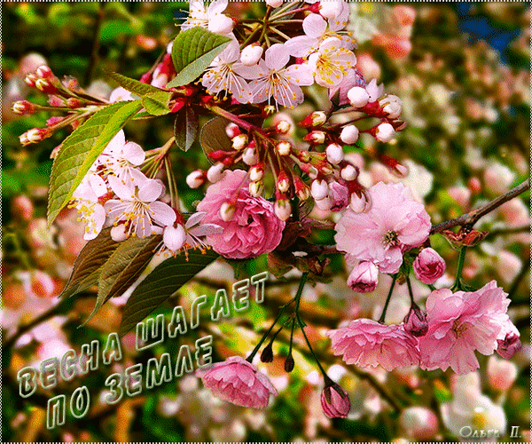 Анимированная открытка Весна шагает по земле