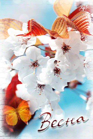 Анимированная открытка Весна белый вишни цветок подушка