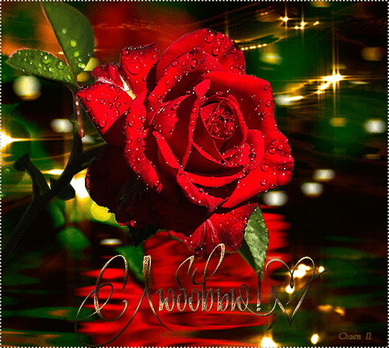 Анимированная открытка С Любовью! сад роз