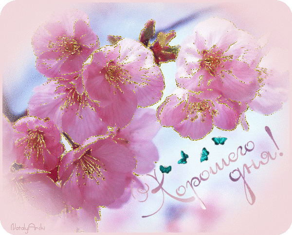 Анимированная открытка Хорошего дня цветущая вишня