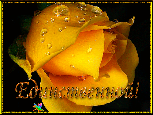 Анимированная открытка Единственной! желтая роза