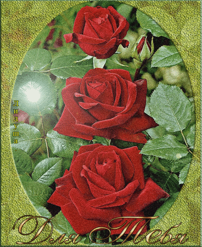 Анимированная открытка Для Тебя роза