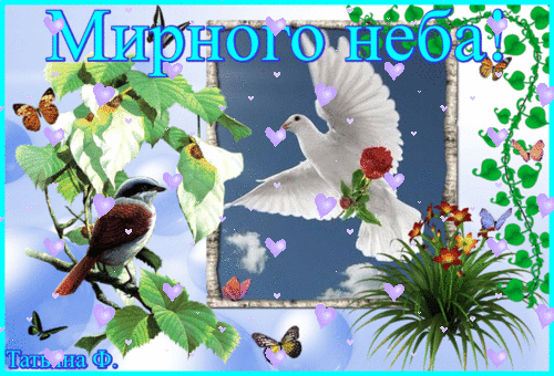 Анимированная открытка Мирного неба! презентация птицы
