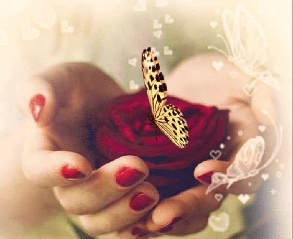 Анимированная открытка Бабочка мы сердце розы