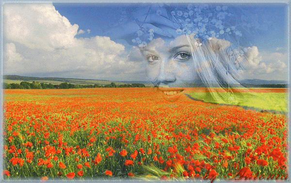 Анимированная открытка Изображение: полупрозрачное женское лицо на фоне пейзажа с цветущими маками.