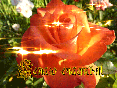 Анимированная открытка Желаю счастья! цветок