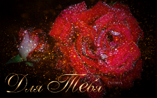 Анимированная открытка Для Тебя красная роза