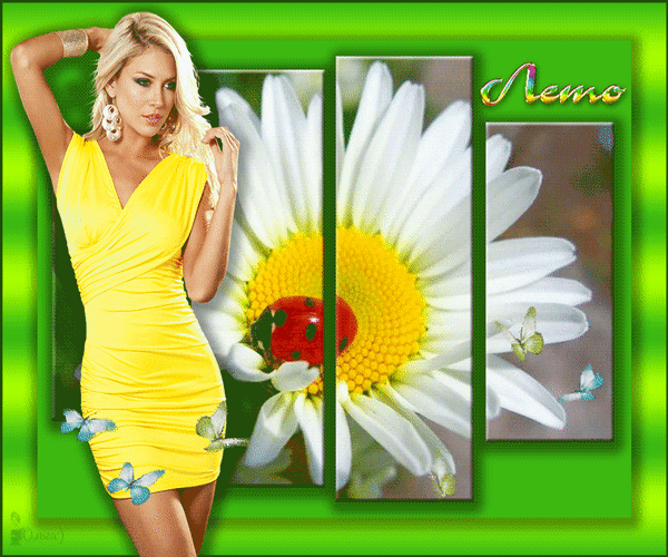 Анимированная открытка Лето цветок