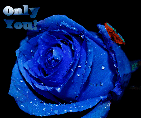 Анимированная открытка Only You! роза