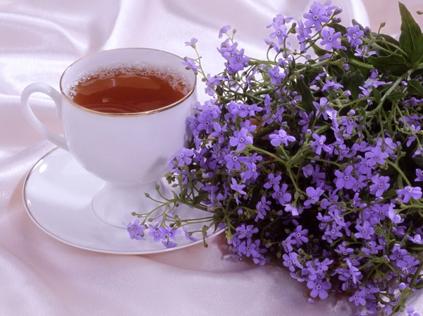 Открытка Чай и цветы доброго дня