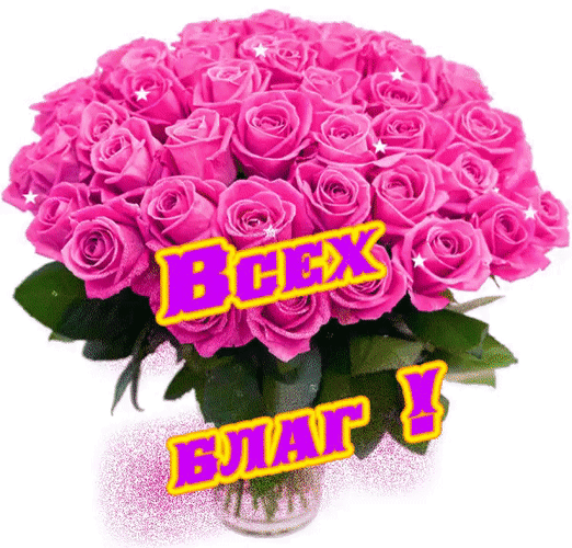 Анимированная открытка Вех благ розовые розы букет