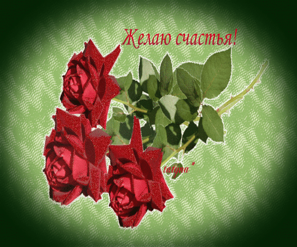 Анимированная открытка Желаю счастья! красная роза лежала
