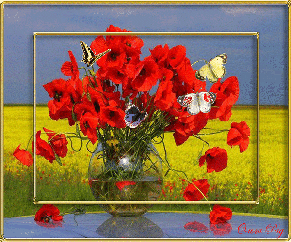 Анимированная открытка Ольга Рад цветы маки