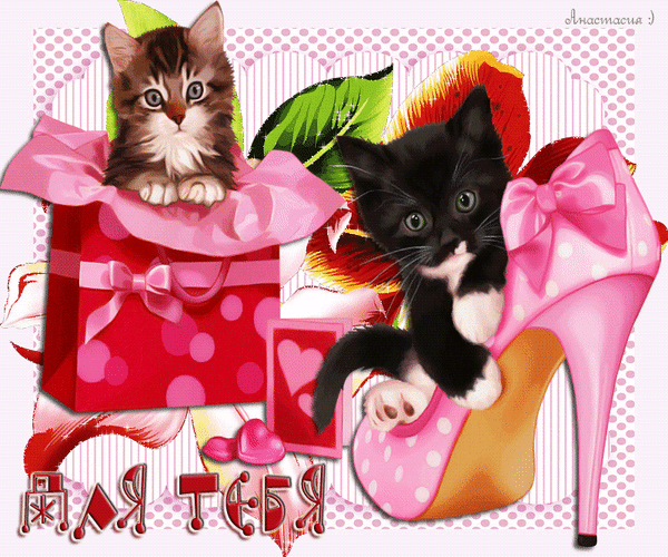 Анимированная открытка Для тебя открытки с 8 марта с котятами