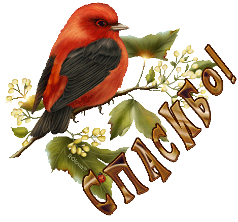 Анимированная открытка Спасибо птица на ветке рисунок