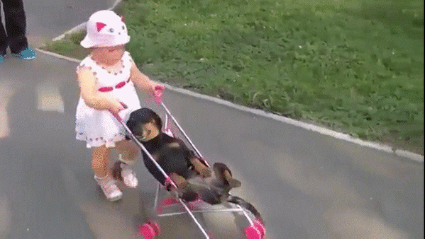 Анимированная открытка Девочка, с собакой в коляске.