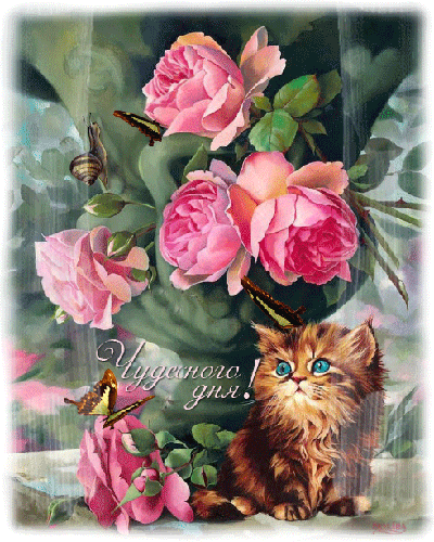 Анимированная открытка Чудесного дня! котенок в розах