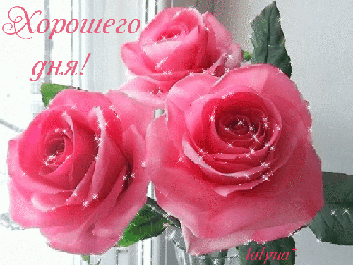Анимированная открытка Хорошего дня! роза