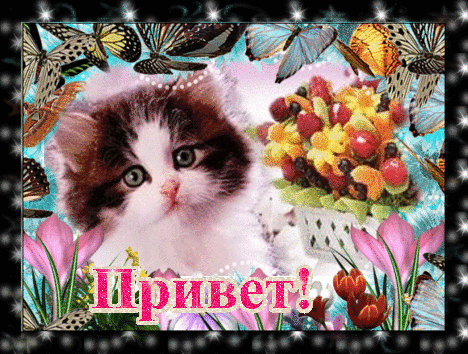 Анимированная открытка Привет кошка