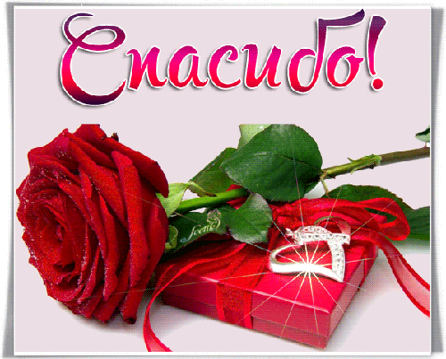 Анимированная открытка Спасибо любовь красная роза цветы