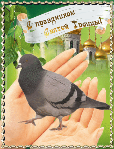 Анимированная открытка С праздником святой Троицы!