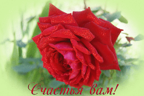 Анимированная открытка Счастья вам! роза