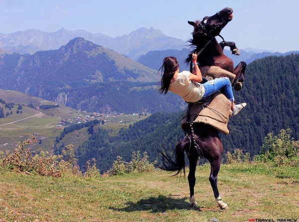 Открытка Девушка на лошади
