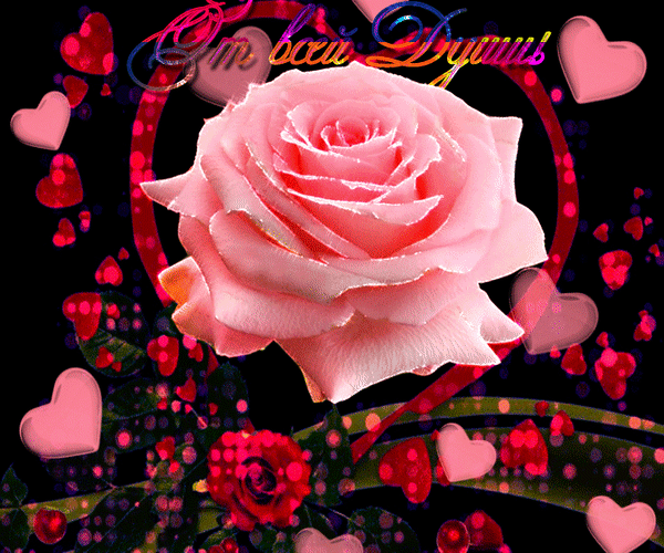 Анимированная открытка От всей души роза