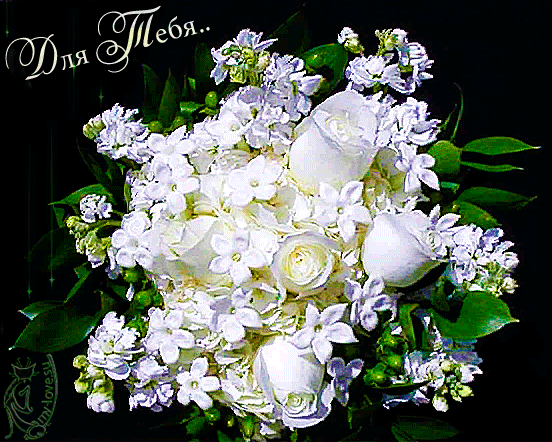 Анимированная открытка Для Тебя.. белые розы с днем рождения