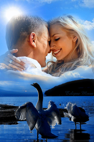Анимированная открытка На берегу водоема лебеди. Выше-обнимающаяся пара. Они улыбаются друг другу.