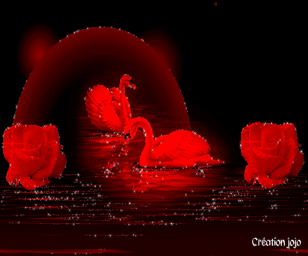 Анимированная открытка Лебеди и розы