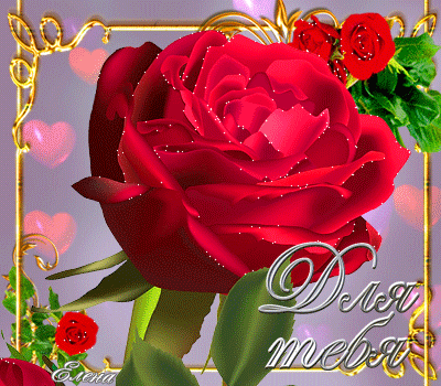 Анимированная открытка Для тебя роза