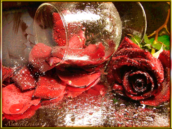 Анимированная открытка Роза в бокале одинокая роза