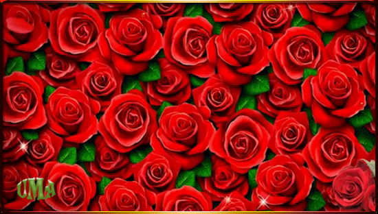 Анимированная открытка Миллион алых роз!