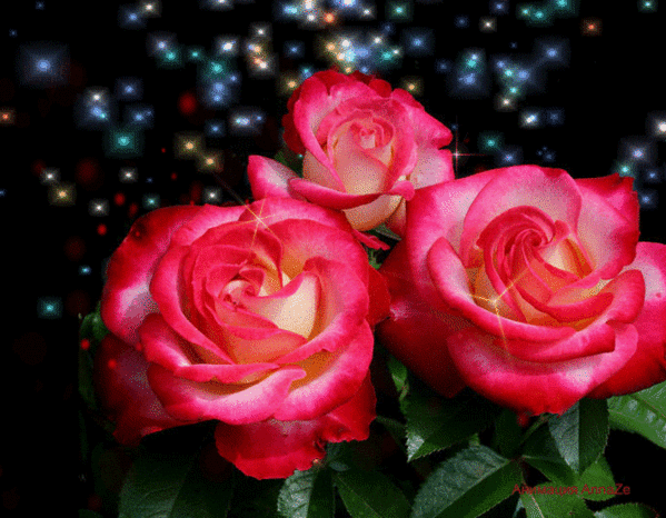 Анимированная открытка Розы поздравление с 30 летием