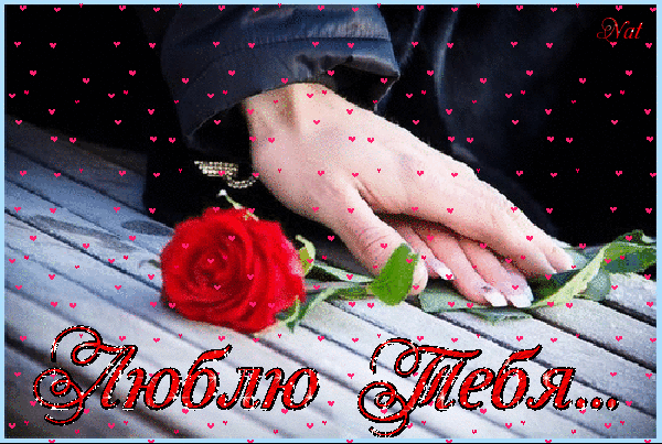 Анимированная открытка Люблю Тебя... сад роз