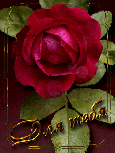 Анимированная открытка Для тебя цветок