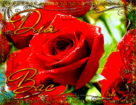 Анимированная открытка Для Вас сад роз