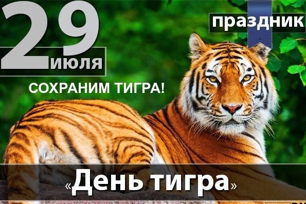 Открытка 29 июля отмечаем День тигра. Сохраним тигра?