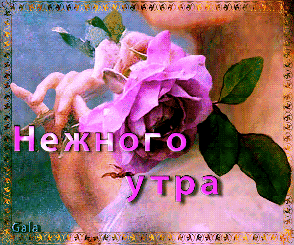 Анимированная открытка Нежного утра цветок