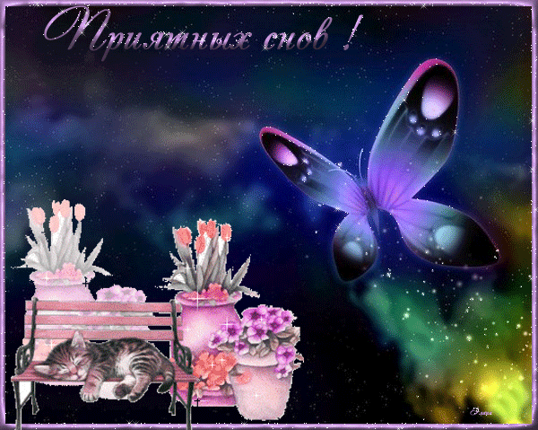 Анимированная открытка Приятных снов! красивые бабочки