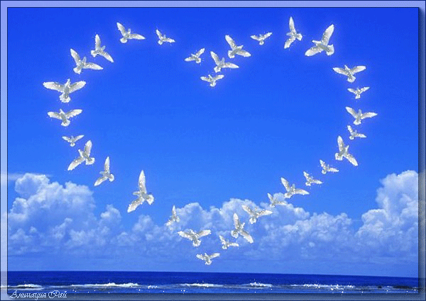 Анимированная открытка Сердце из птиц сердечки любовь