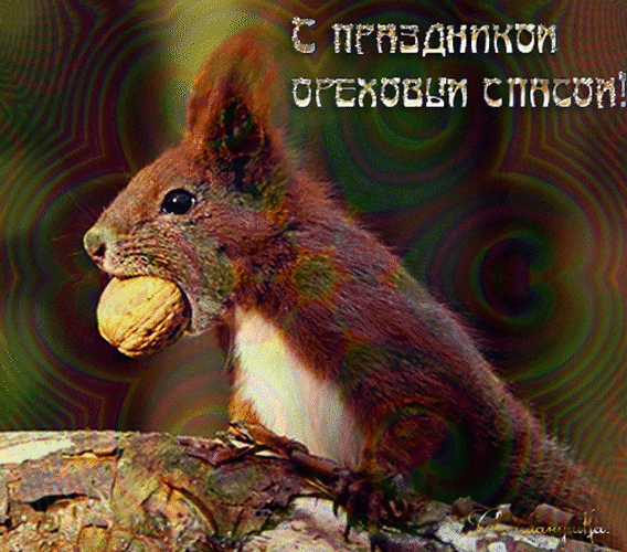 Анимированная открытка С праздником ореховым спасом
