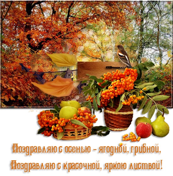 Открытка Поздравляю с осенью-ягодной, грибной, Поздравляю с красочной, яркою листвой!