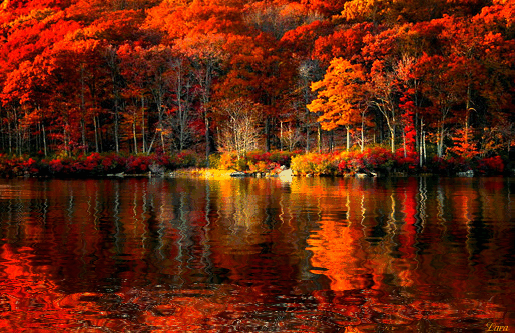 Анимированная открытка Осень красивые фото природы осень