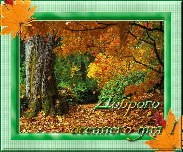 Анимированная открытка Доброго осеннего дня!