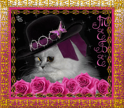 Анимированная открытка Тебе кошка
