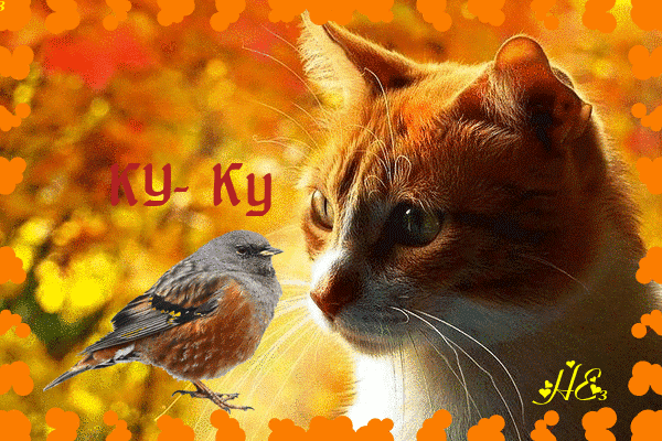 Анимированная открытка Ку-ку рыжие кошки с зелеными глазами