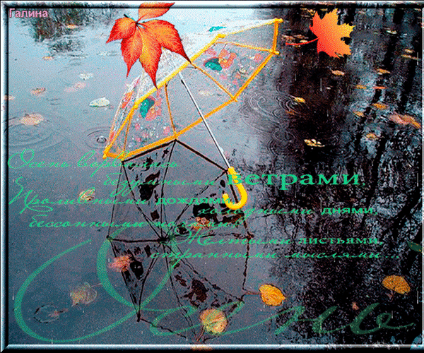 Анимированная открытка Осень ворвалась безумными ветрами. проливными дождями холодными